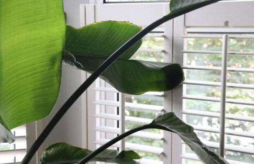 Hyem at Cullercoats - Foto 23