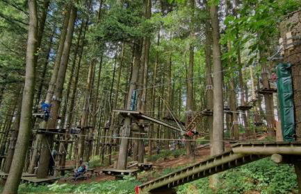 Ferienwohnung am Wald - Photo 56