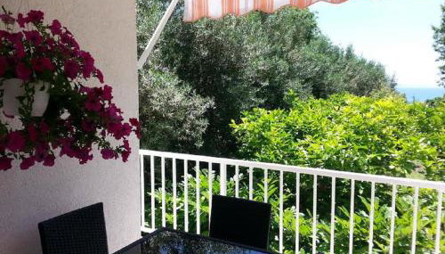 Apartment Green Oasis - Photo 3, Garden view