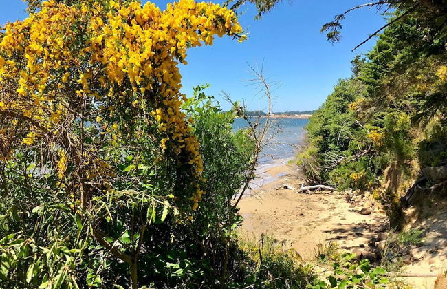 Seagate: Starboard~coos Bay~premiere Property - Foto 37