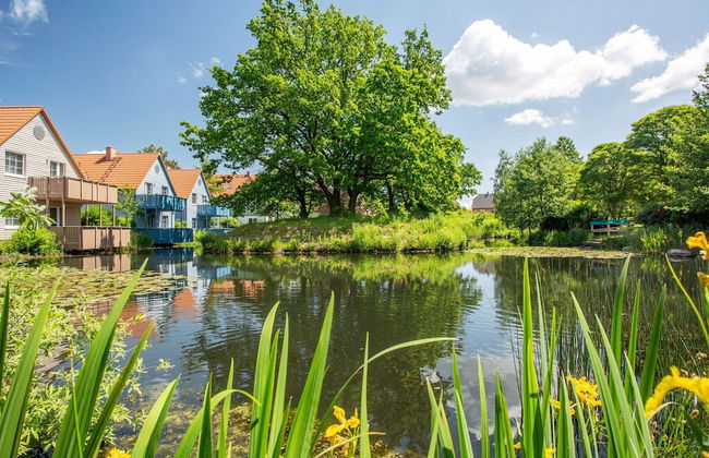 1 bedroom Apartment in Göhren-Lebbin with swimming pool and garden - Photo 43