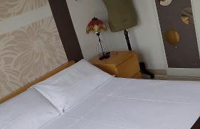 Las adelfas Urgell - Foto 9