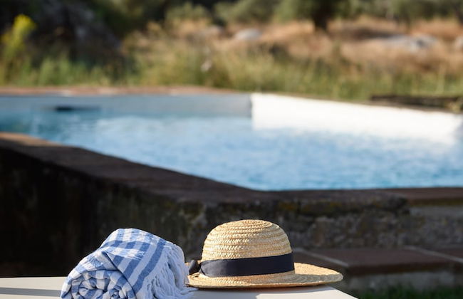 Casa do Governador - Photo 45