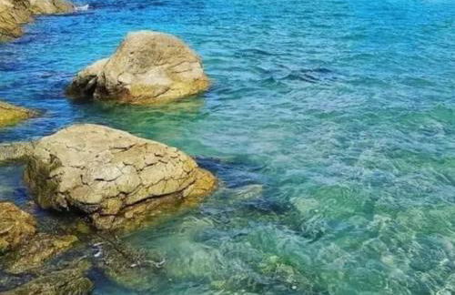 Apartamento na Praia da Enseada, 100 mt praia - Foto 30