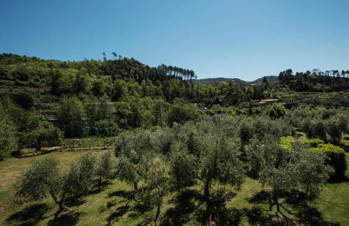 Appartamenti Borgo San Pietro - Foto 19