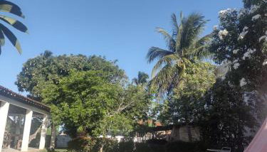 Casa Porto de Pedras_Patacho_Milagres - Foto 3