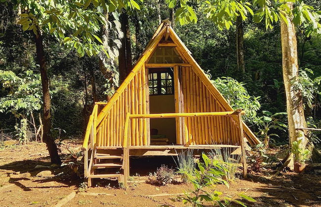 Cabaña el Ermitaño - Foto 10