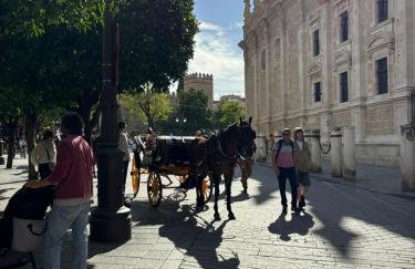 Cathedral and Mateos Gagos - Foto 43