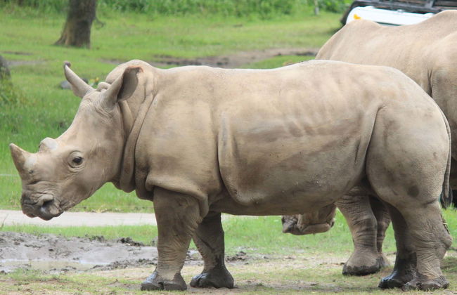 Billet pour le Safari and Marine Park - Photo 5