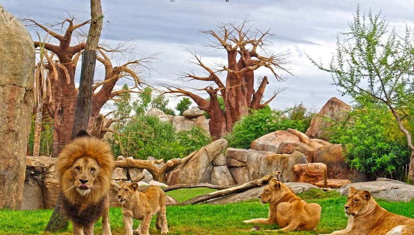 Bioparc Valência