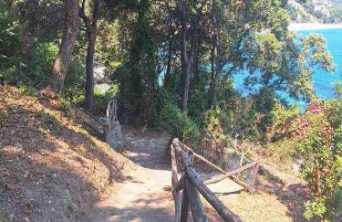 SunRiseStudiosPapanero - Foto 39