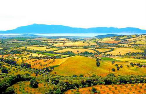 Near the sea big panoramic house 2 terraces in lovely village - Foto 5