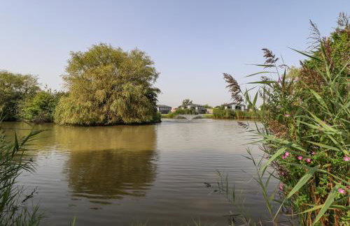 62 Pinewood - Foto 34