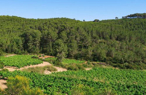 Masia Pou de la Vinya - Foto 79