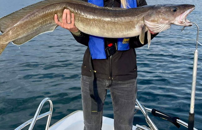 6 Person Holiday Home in Torrvikbygd - Photo 19