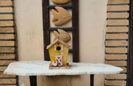 Refúgio do Capitão - São Sebastião - Foto 6