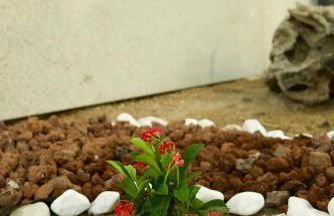 Casa Ermida - Photo 40