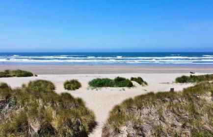 Sandpiper Shores - Foto 34