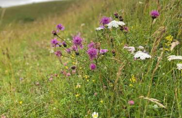 Cosy Rural Retreat, Sleeps 3 & Petfriendly - Foto 61
