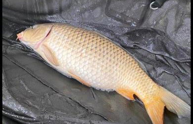 Weeley Bridge 3 Bedroom Luxury Holiday Home - Foto 4