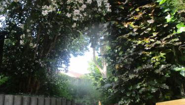 Nürtingen 90 qm lichtdurchflutete Wohnung im Loft-Style mit Balkon und Nähe zum Neckar - Photo 2