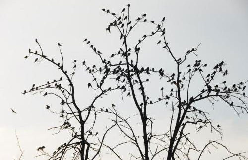 Landbahnhof Buschhof 2 OG mit Gartensauna - Foto 59