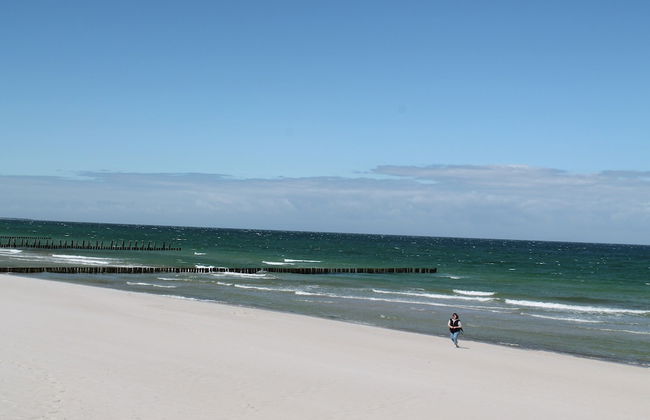 Ferienhaus mit Garten in Zingst - Foto 42