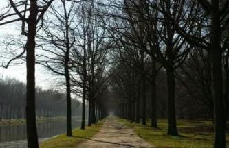 Apartment Reitz by Interhome - Foto 11