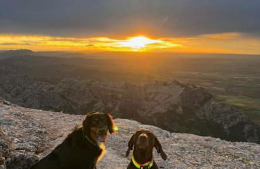 Can Sablet - Foto 19