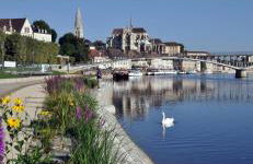 Au cœur du centre ville avec parking privé balcon et wifi - Foto 16