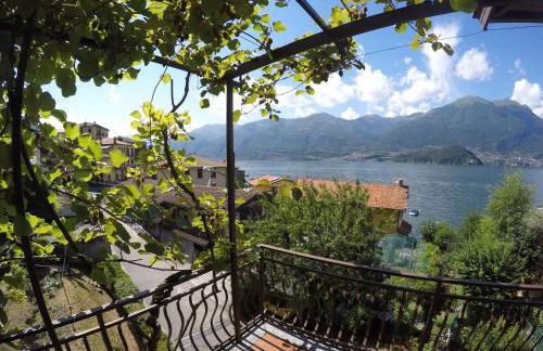 L'Agrifoglio - Foto 11