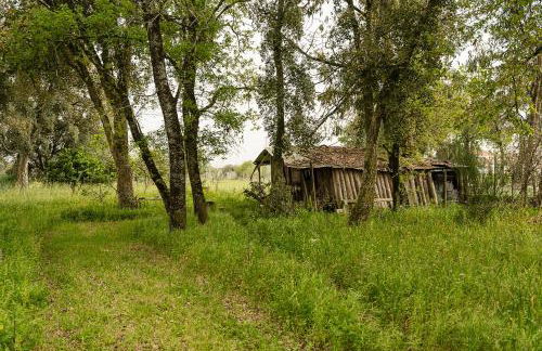 GuestReady - Quinta do Sol - Foto 21