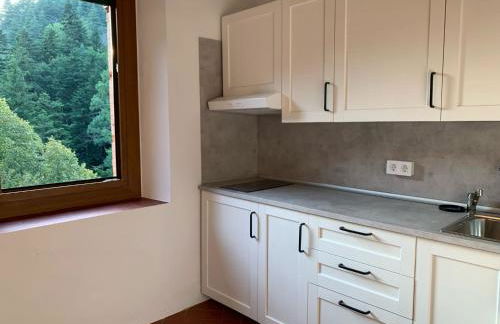 Bonavista - Els Apartaments del Bosc - Foto 3