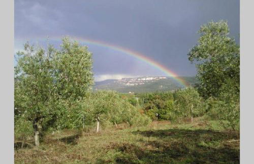 wine apartment le sedici - Foto 50
