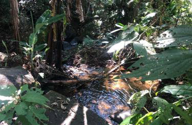 Chalé Bem-te-vi Vista espetacular da Serra da Mantiqueira - Foto 11