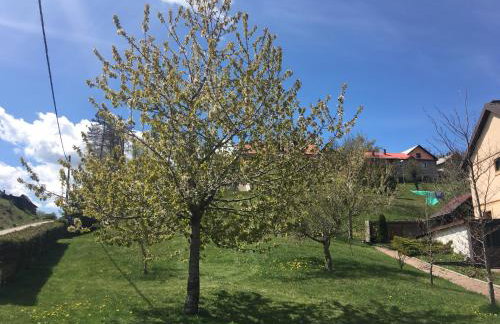 Apartment Tody's - Foto 16