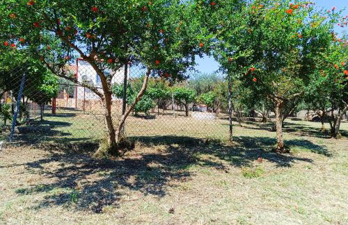 Grandmas Cottage - Photo 32