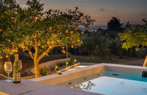 Orange Tree - Foto 7