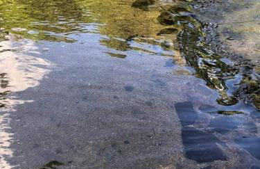 Recanto do Paraíso - Foto 30