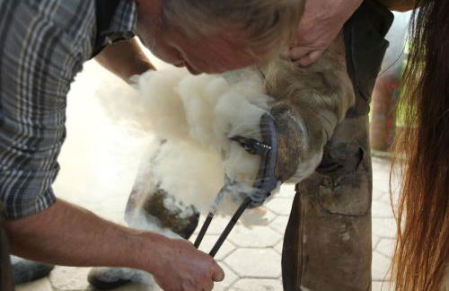 Garbers-Hof - Foto 69