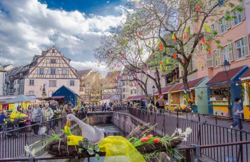 MUNSTER camping de la FECHT - Foto 6