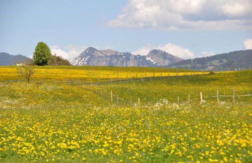 Landhaus Brigitte - Photo 24