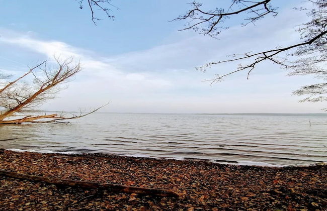 Ferienhaus Kiebitz, Plau am See - Photo 18