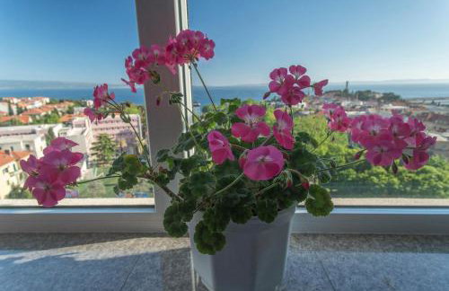 Apartment Vana - Foto 47