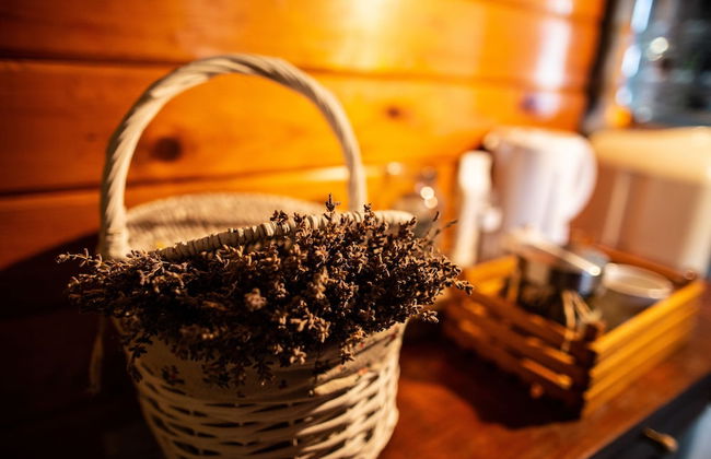 Apartments and wellness center Korošec - Foto 73