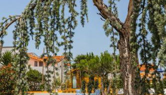 Almaa da Ria - Foto 1