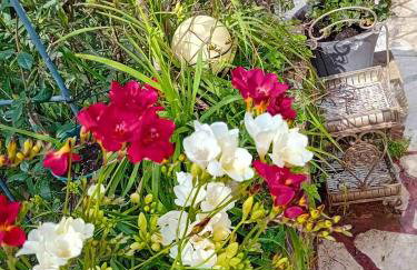 Anassa's Apartment - Άνασσα Διαμέρισμα - Foto 33