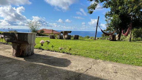 Biscoitos Top View - Photo 5