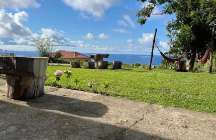 Biscoitos Top View - Photo 5