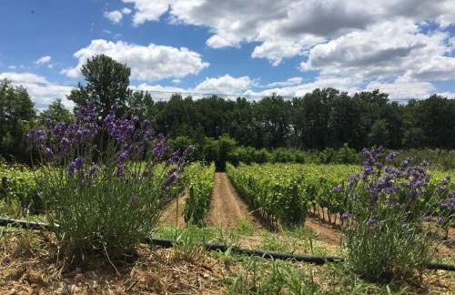 Agriturismo La Casina nel Vigneto - Foto 32